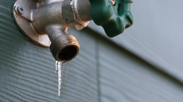 Best Plumbing Installation Services  in St Elmo, IL